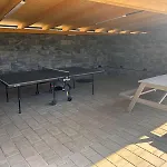 A1 *