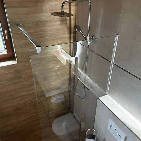 A1 *