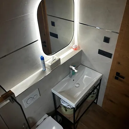 A1 *