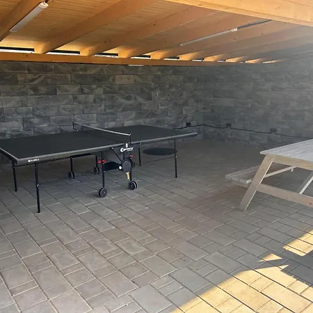A1 *